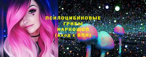 Альфа ПВП Вязники