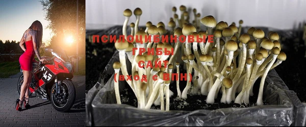 прущая мука Вязьма