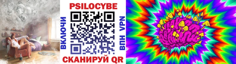 Купить  Петушки  Галлюциногенные грибы Cubensis 